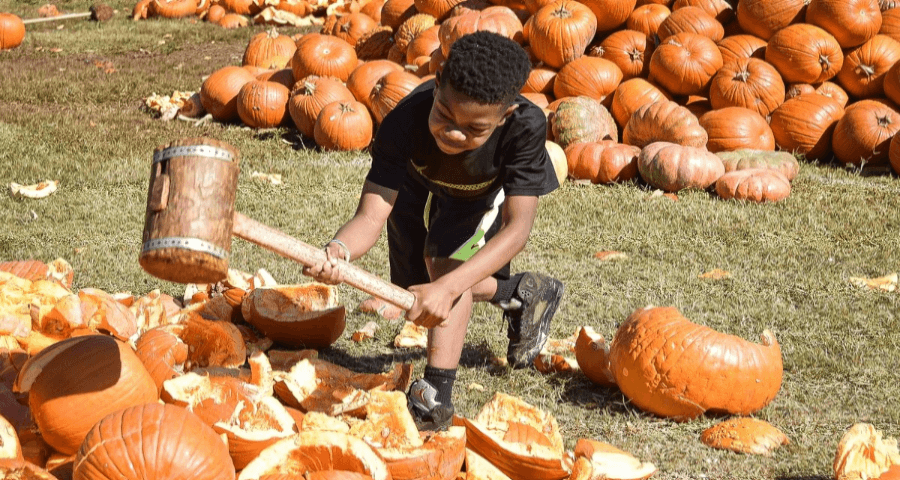 Фестиваль по разбиванию тыкв (smashing pumpkins festival)