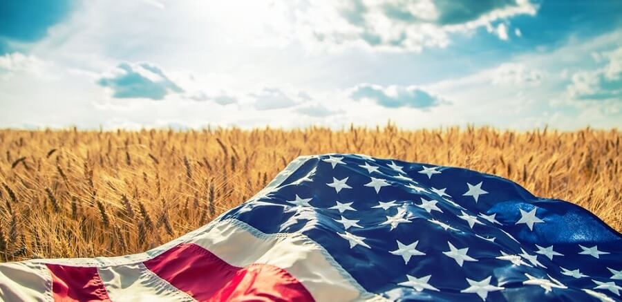 Что хорошего произошло в 2020 году для американцев? Флаг США и рассвет