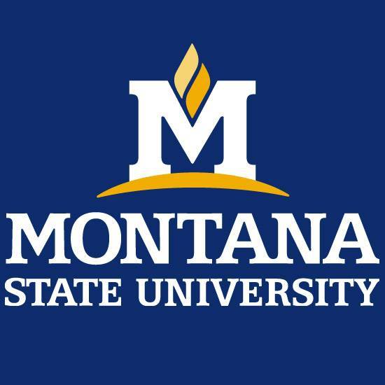 Университет штата Монтана (Montana State University)